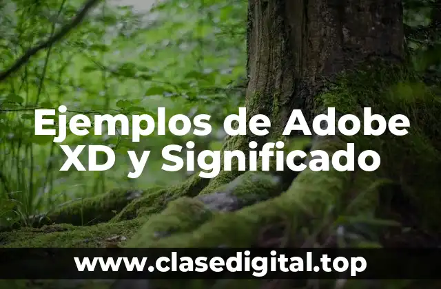 Ejemplos de Adobe XD y Significado