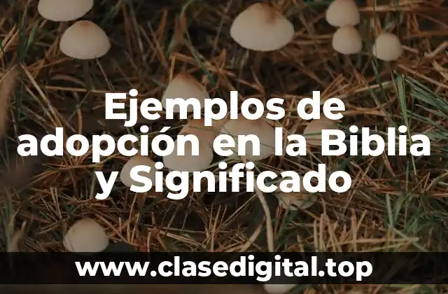Ejemplos de adopción en la Biblia y Significado