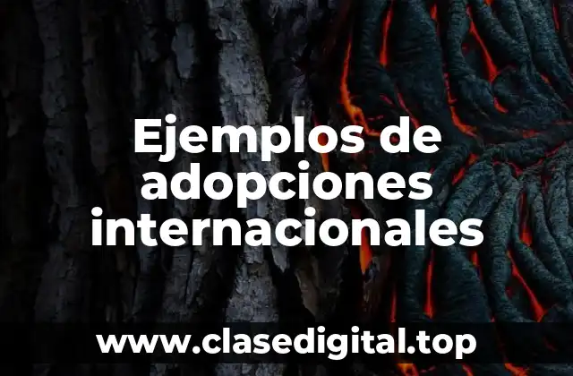 Ejemplos de adopciones internacionales