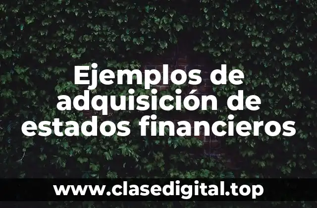 Ejemplos de adquisición de estados financieros