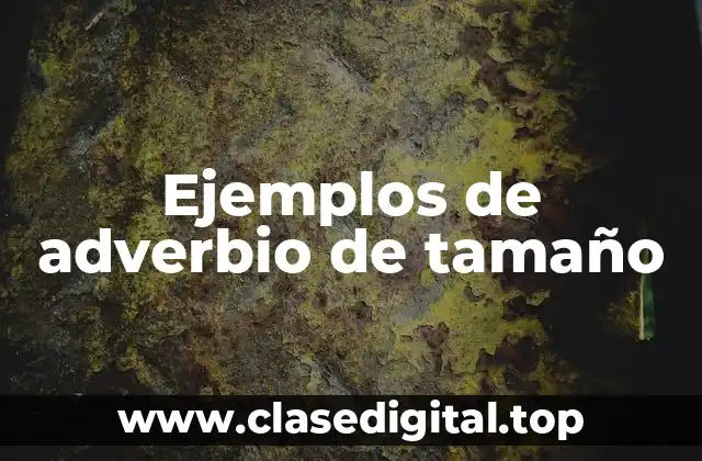Ejemplos de adverbio de tamaño