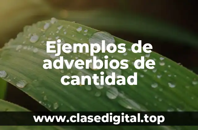 Ejemplos de adverbios de cantidad