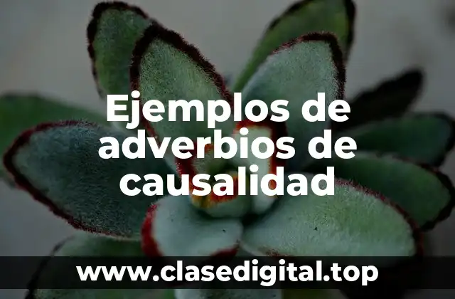 Ejemplos de adverbios de causalidad