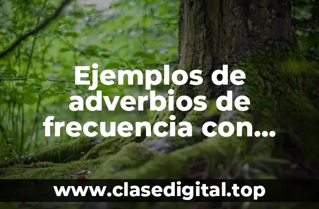 Ejemplos de adverbios de frecuencia con preguntas y respuestas