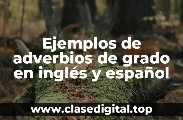 Ejemplos de adverbios de grado en inglés y español