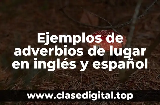 Ejemplos de adverbios de lugar en inglés y español