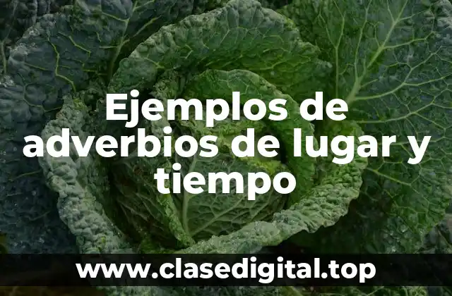 Ejemplos de adverbios de lugar y tiempo