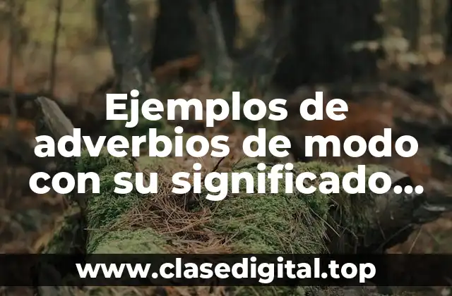 Ejemplos de adverbios de modo con su significado en español