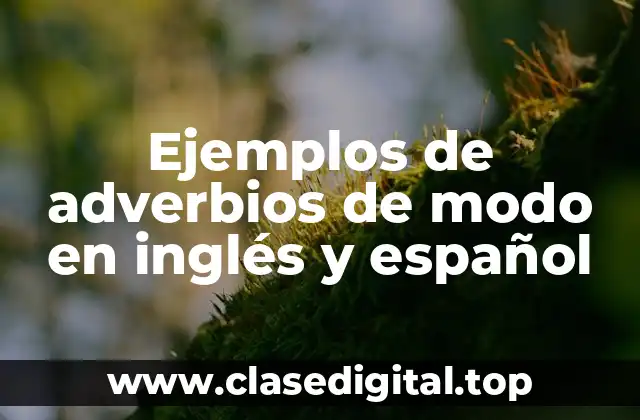 Ejemplos de adverbios de modo en inglés y español