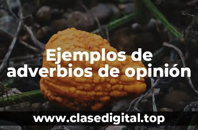 Ejemplos de adverbios de opinión