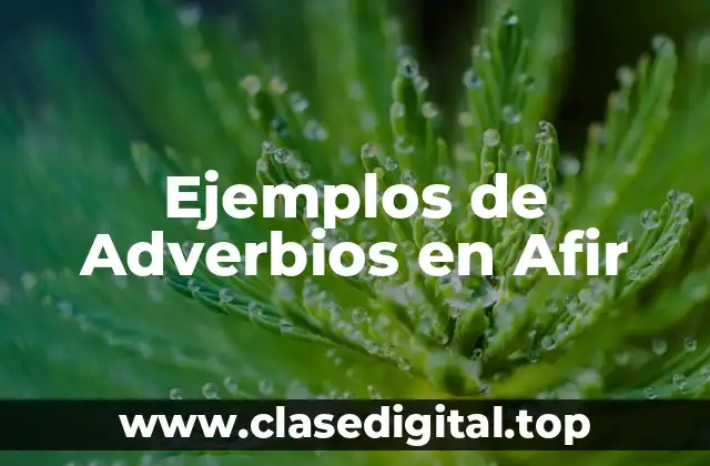 Ejemplos de Adverbios en Afir-mación