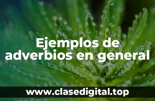 Ejemplos de adverbios en general