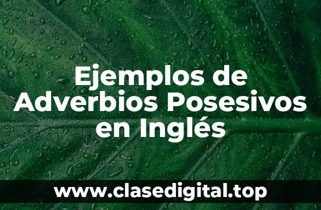 Ejemplos de Adverbios Posesivos en Inglés