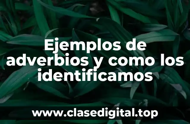 Ejemplos de adverbios y como los identificamos