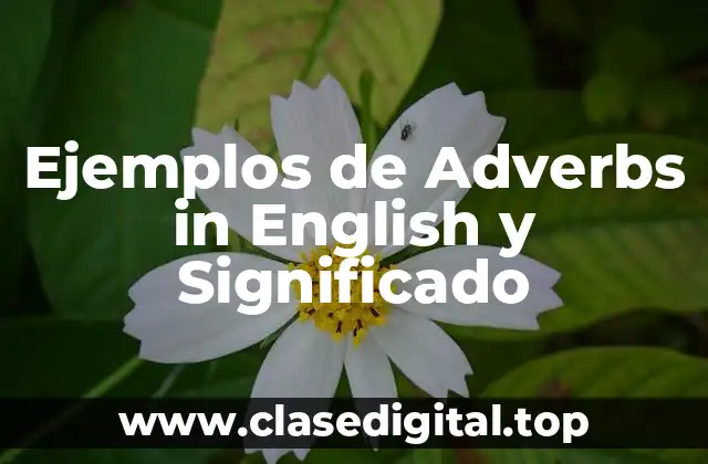 Ejemplos de Adverbs in English y Significado