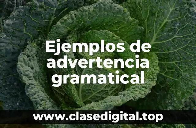 Ejemplos de advertencia gramatical