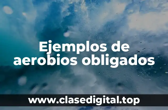 Ejemplos de aerobios obligados