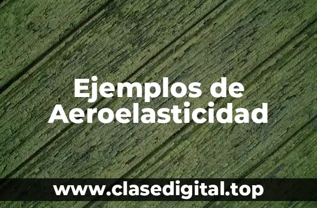 Ejemplos de Aeroelasticidad