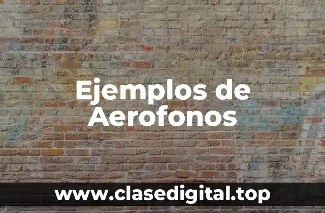 Ejemplos de Aerofonos