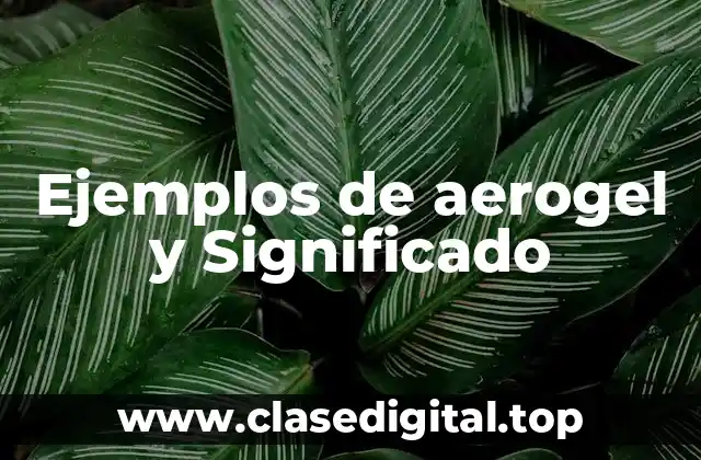 Ejemplos de aerogel y Significado