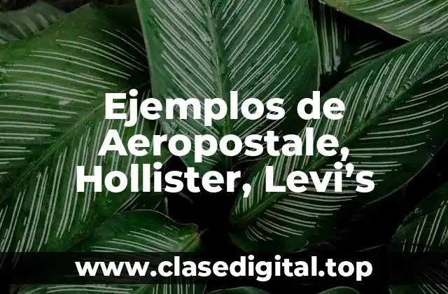 Ejemplos de Aeropostale, Hollister, Levi’s