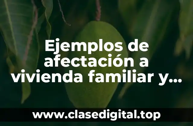 Ejemplos de afectación a vivienda familiar y Significado