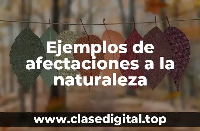Ejemplos de afectaciones a la naturaleza
