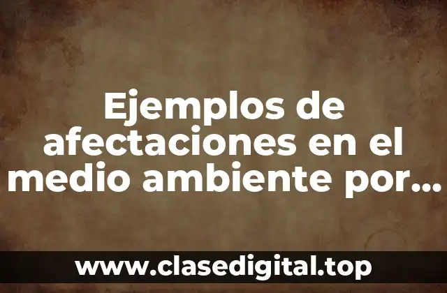 Ejemplos de afectaciones en el medio ambiente por la globalización