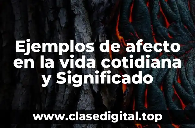 Ejemplos de afecto en la vida cotidiana y Significado