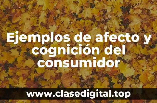 Ejemplos de afecto y cognición del consumidor