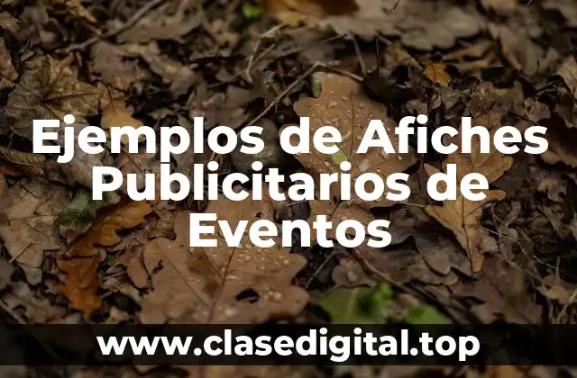 Ejemplos de Afiches Publicitarios de Eventos