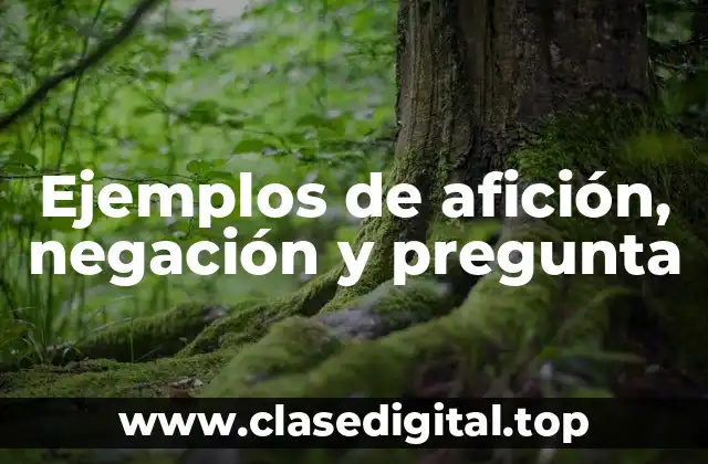 Ejemplos de afición, negación y pregunta