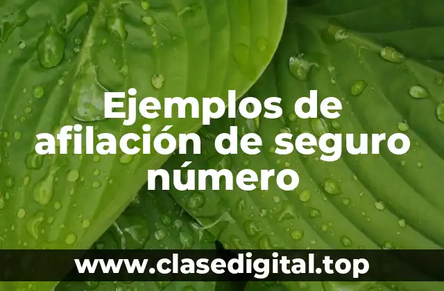 Ejemplos de afilación de seguro número