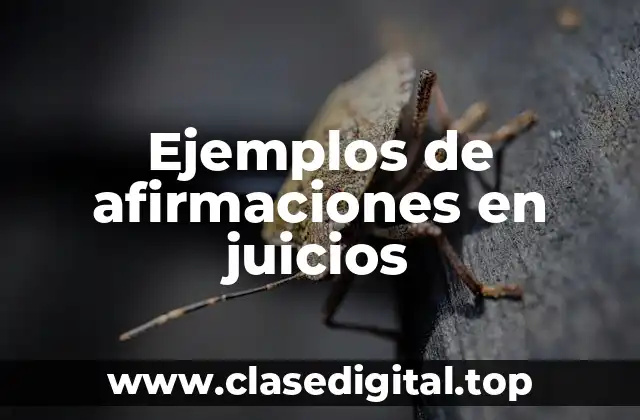 Ejemplos de afirmaciones en juicios