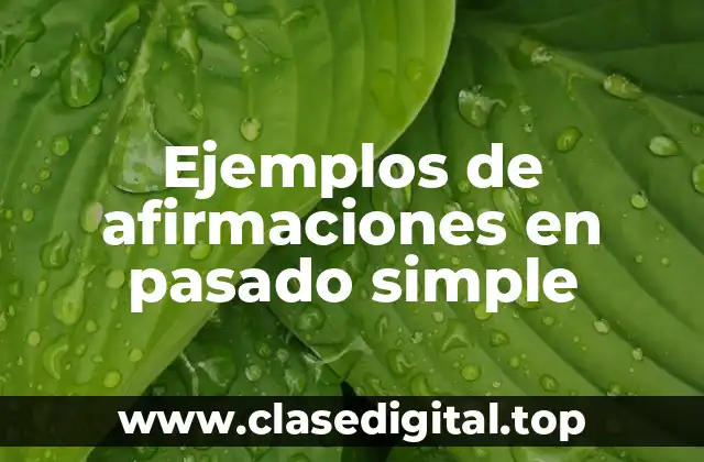Ejemplos de afirmaciones en pasado simple