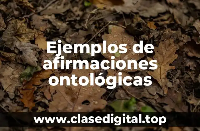 Ejemplos de afirmaciones ontológicas