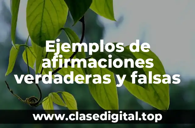 Ejemplos de afirmaciones verdaderas y falsas