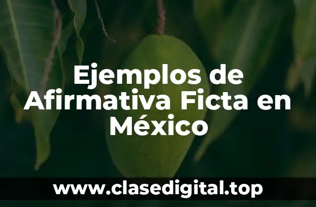 Ejemplos de Afirmativa Ficta en México