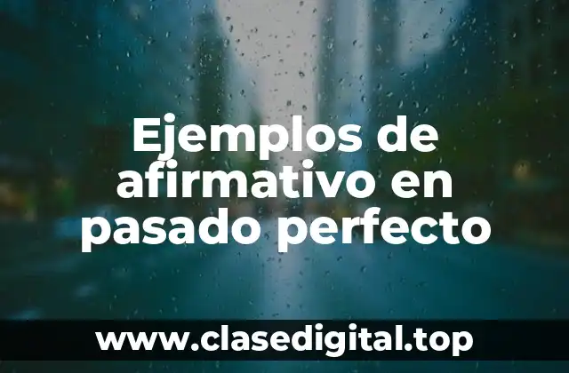 Ejemplos de afirmativo en pasado perfecto