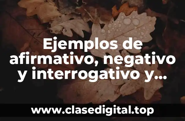 Ejemplos de afirmativo, negativo y interrogativo y Significado