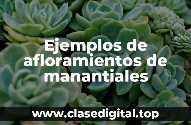 Ejemplos de afloramientos de manantiales