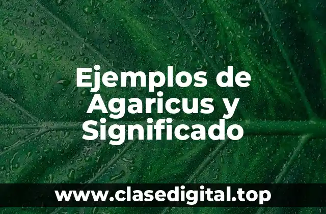 Ejemplos de Agaricus y Significado