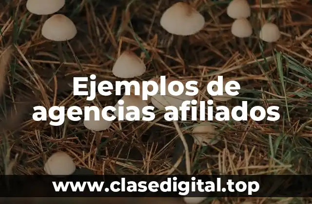 Ejemplos de agencias afiliados