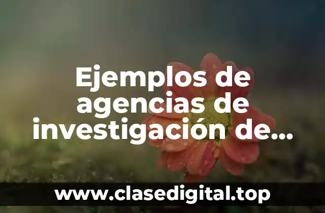 Ejemplos de agencias de investigación de mercados