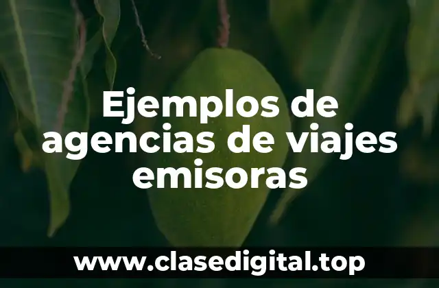 Ejemplos de agencias de viajes emisoras