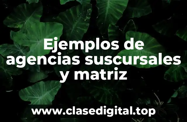 Ejemplos de agencias suscursales y matriz