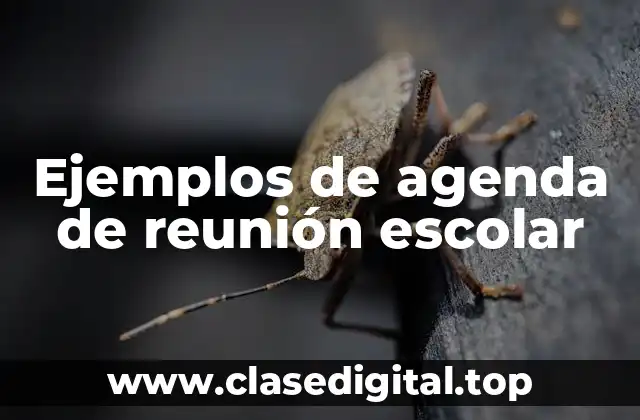 Ejemplos de agenda de reunión escolar
