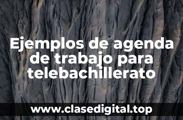 Ejemplos de agenda de trabajo para telebachillerato