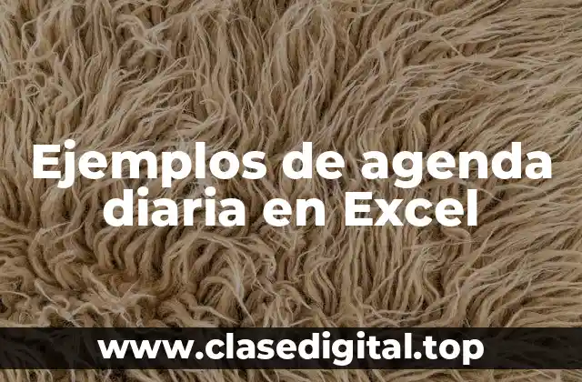 Ejemplos de agenda diaria en Excel