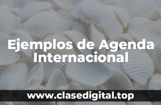 Ejemplos de Agenda Internacional
